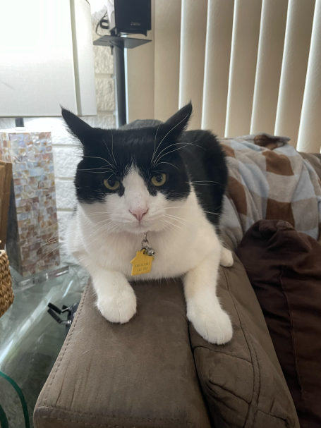 Max